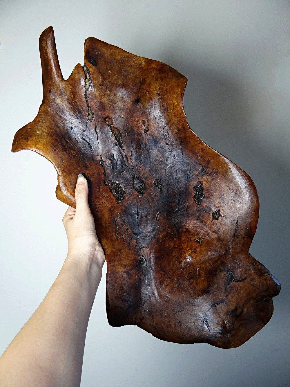 Large monoxyle bowl made of dark raw olive wood from the 1950s.