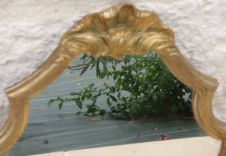 Louis XV style mirror guaranteed with water-gilded wood and gold leaf