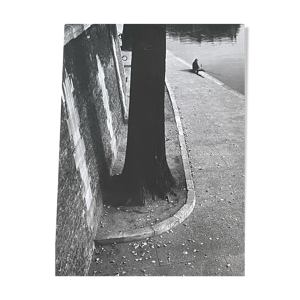 Photographie ancienne - xxe