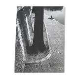 Photographie ancienne noir et blanc argentique début XXe
