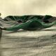 Cut dark green leaf