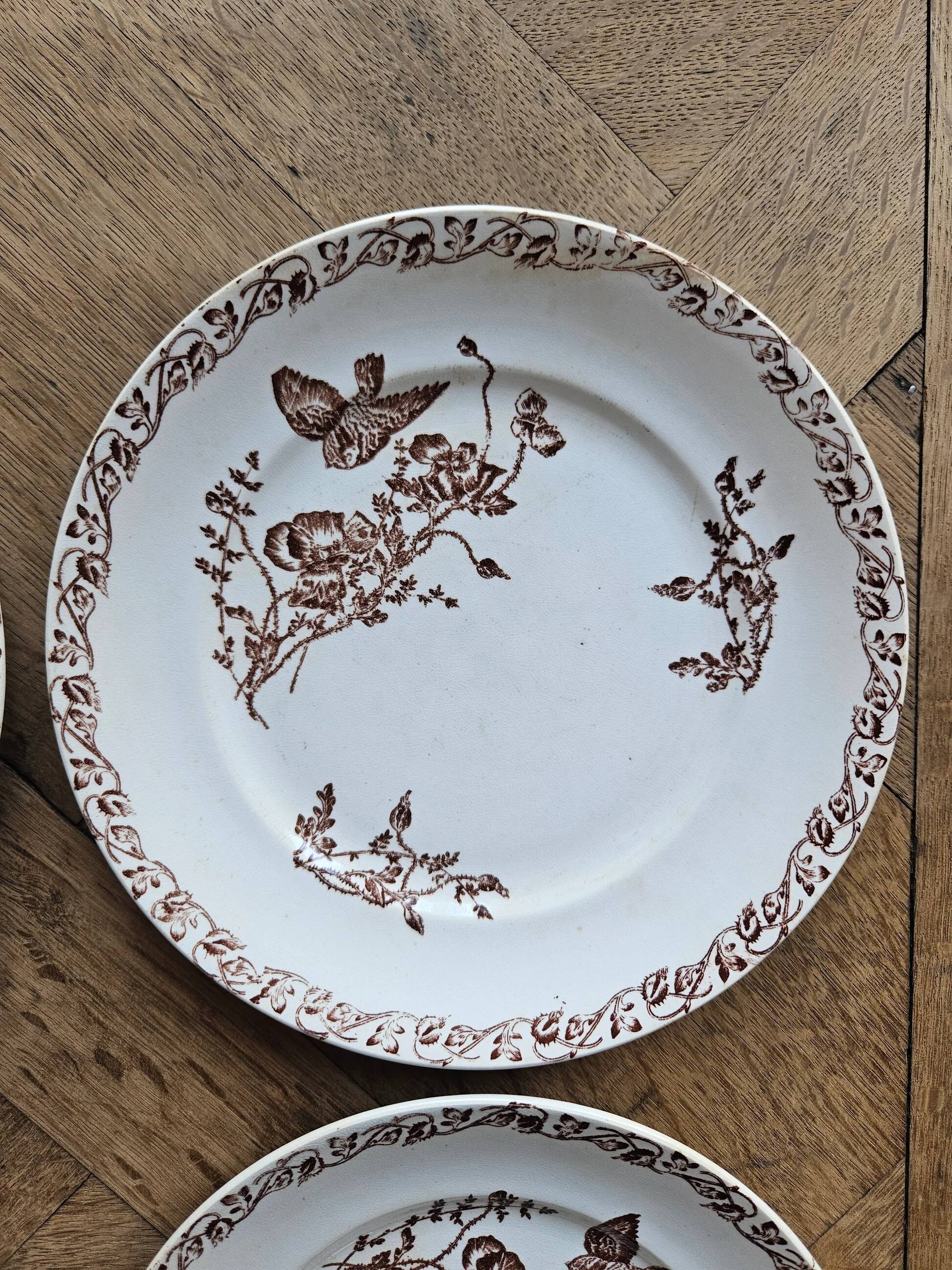 Ironstone dessert plates, poppies