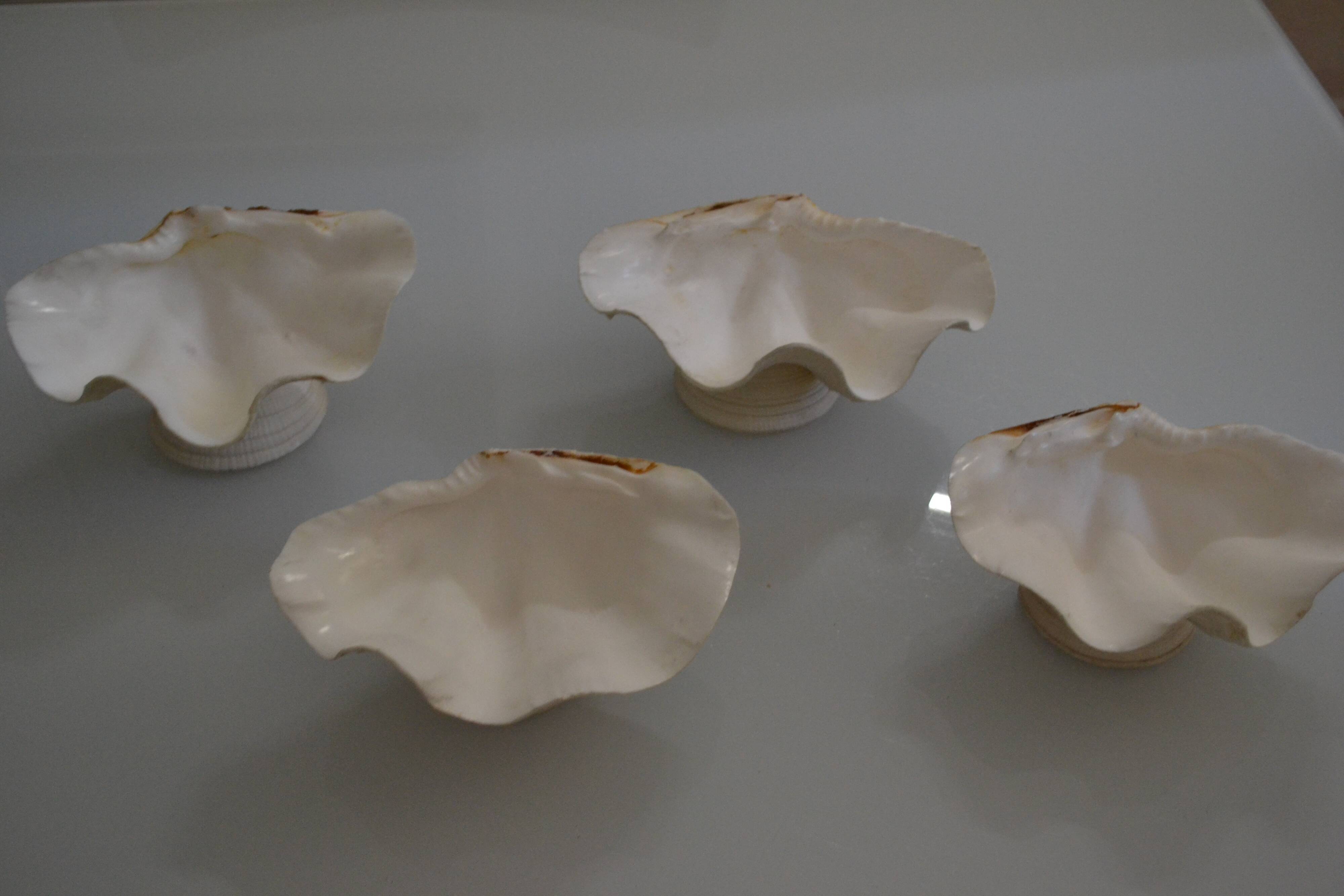 Set of 4 empty pockets