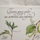 Botanical tea board to help children sleep