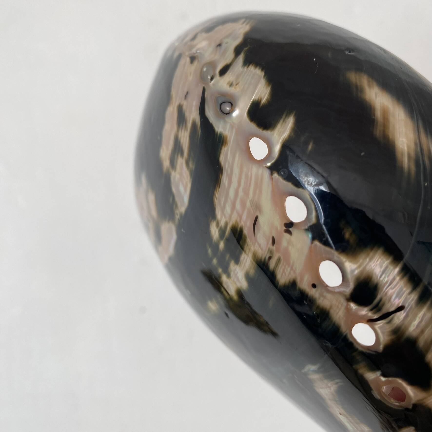 Polished abalone shell, catch-all or decorative object.