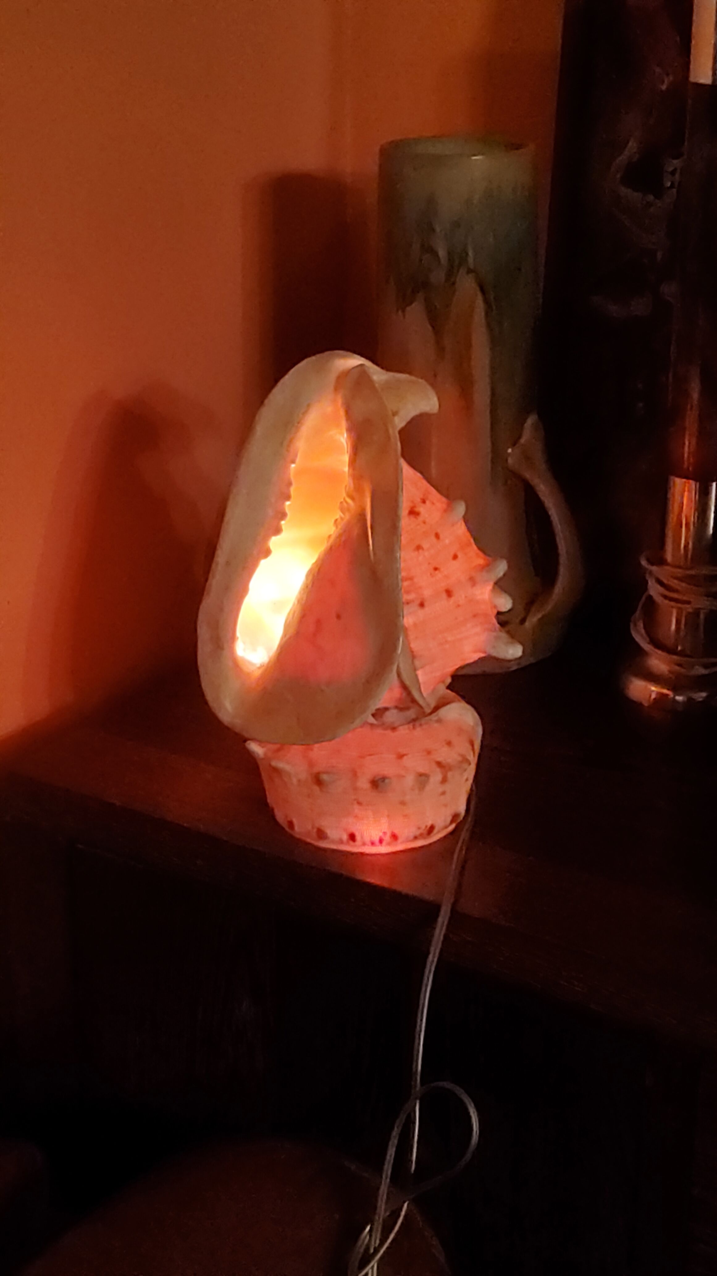 Shell lamp from the 50s