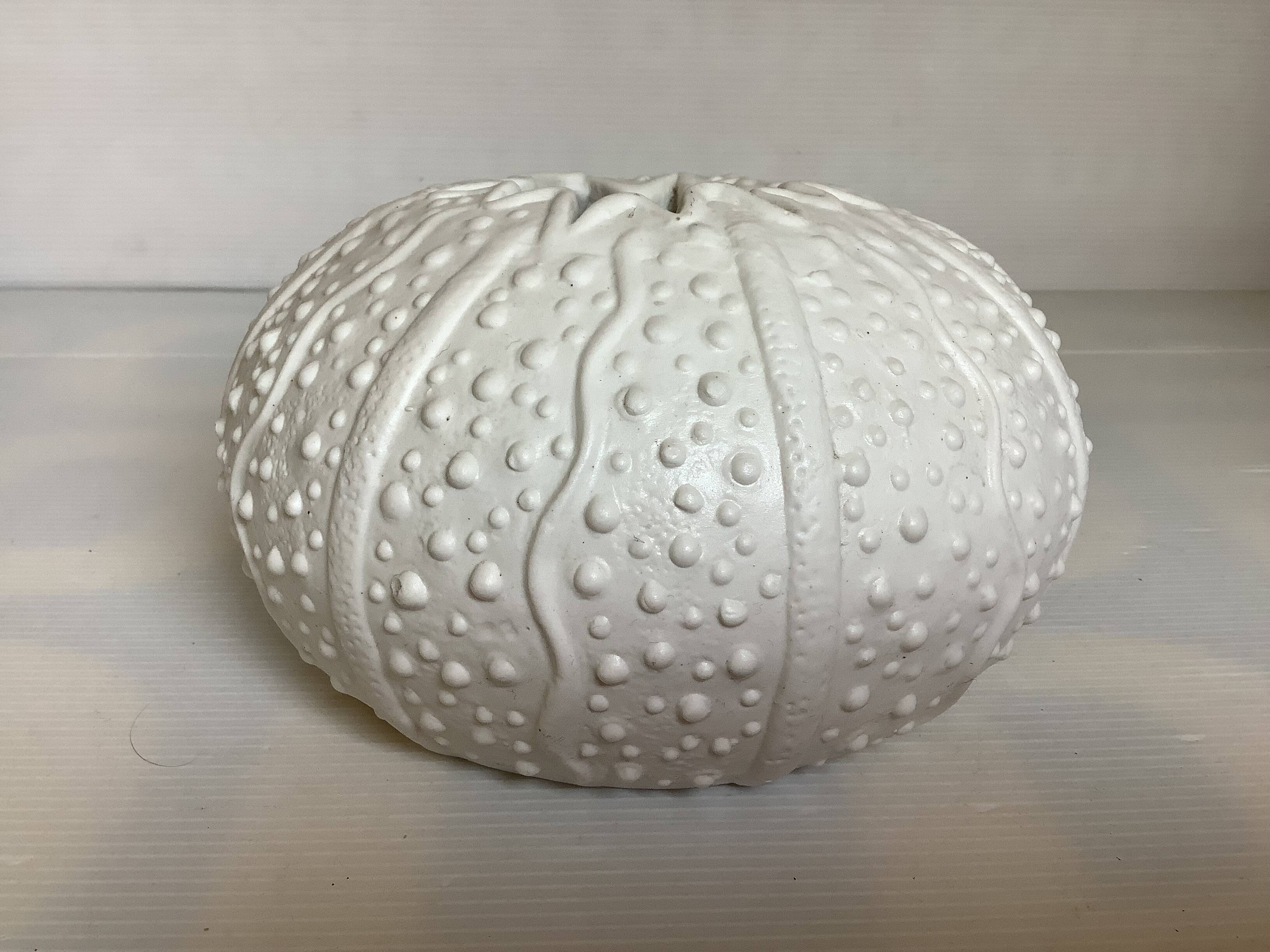 Vase en forme d oursin coquillage