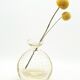 Murano controlled bubble vase