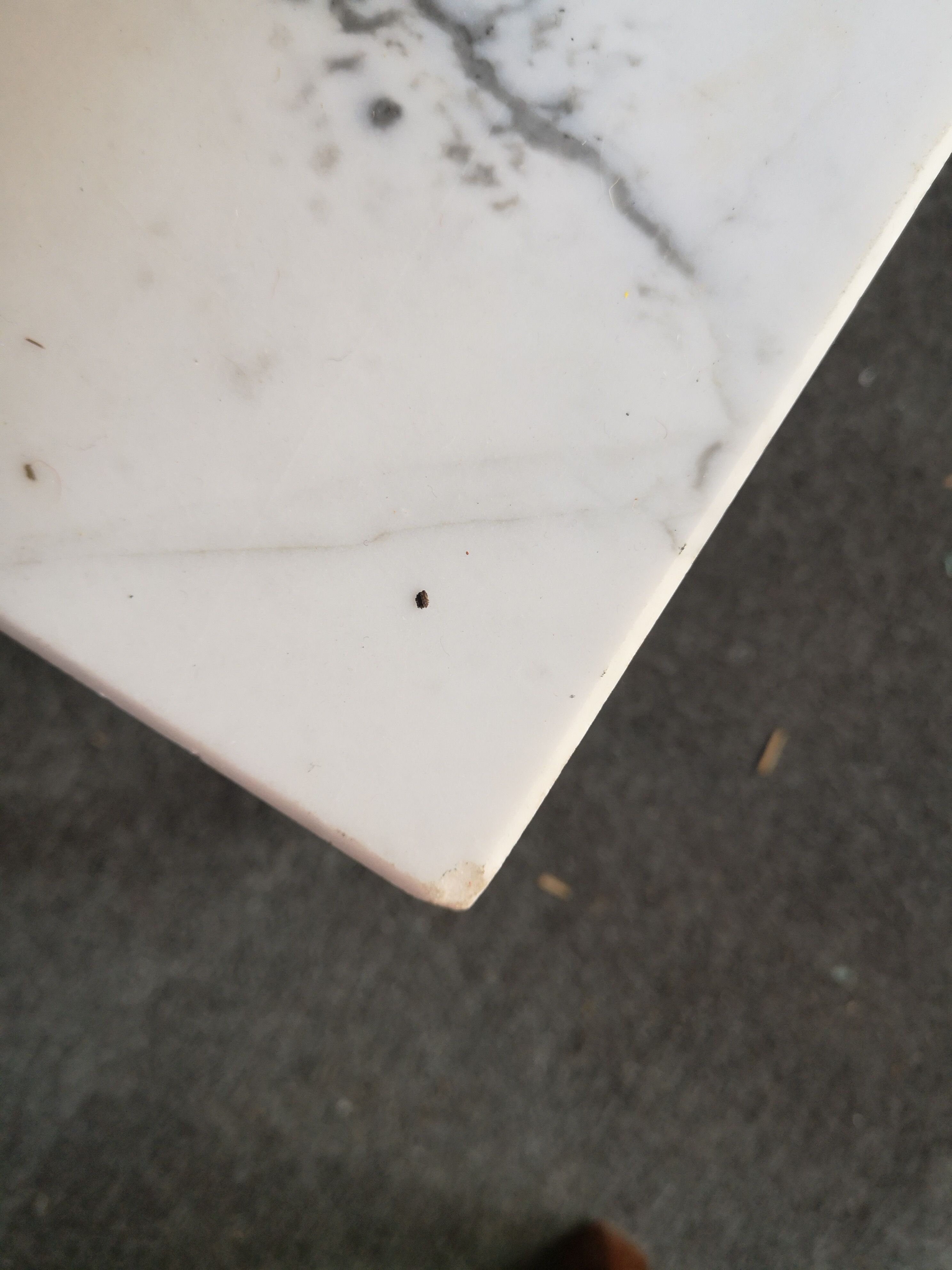 Marble and chrome coffee table, 1970