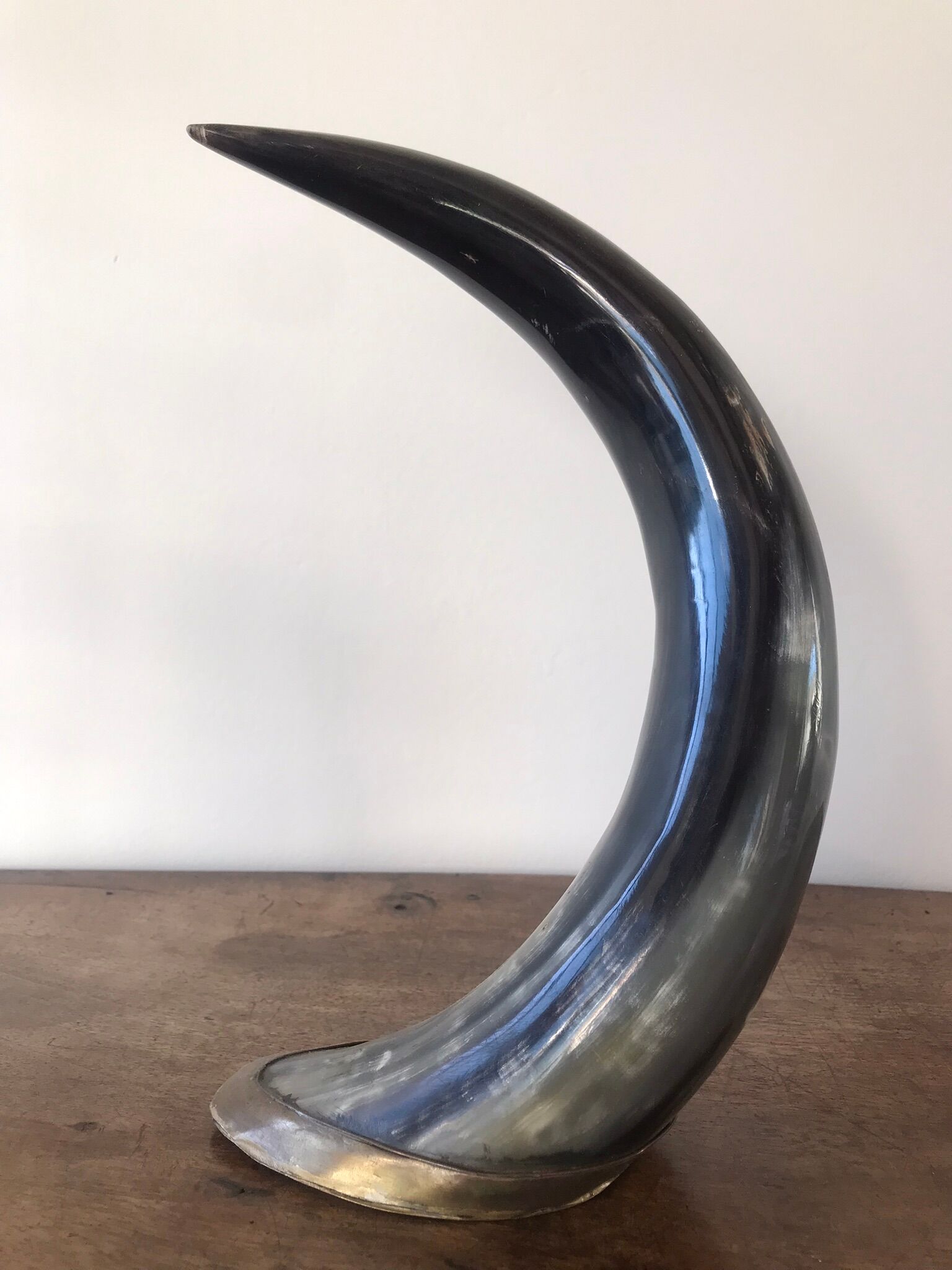Polished beef horn on brass base
