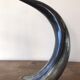Polished beef horn on brass base