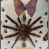 Cute frame and vintage butterflies