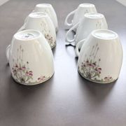 Service of 6 Fine Porcelain Cups with Art Nouveau Rose Decoration