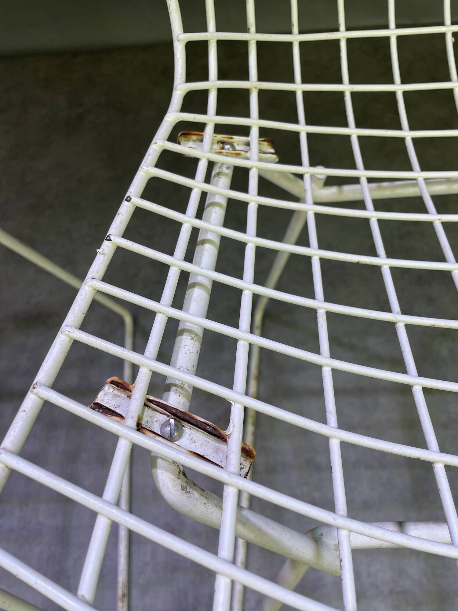 Pair of white lacquered Bertoia chairs