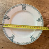 Assiette de présentation sur pied douche