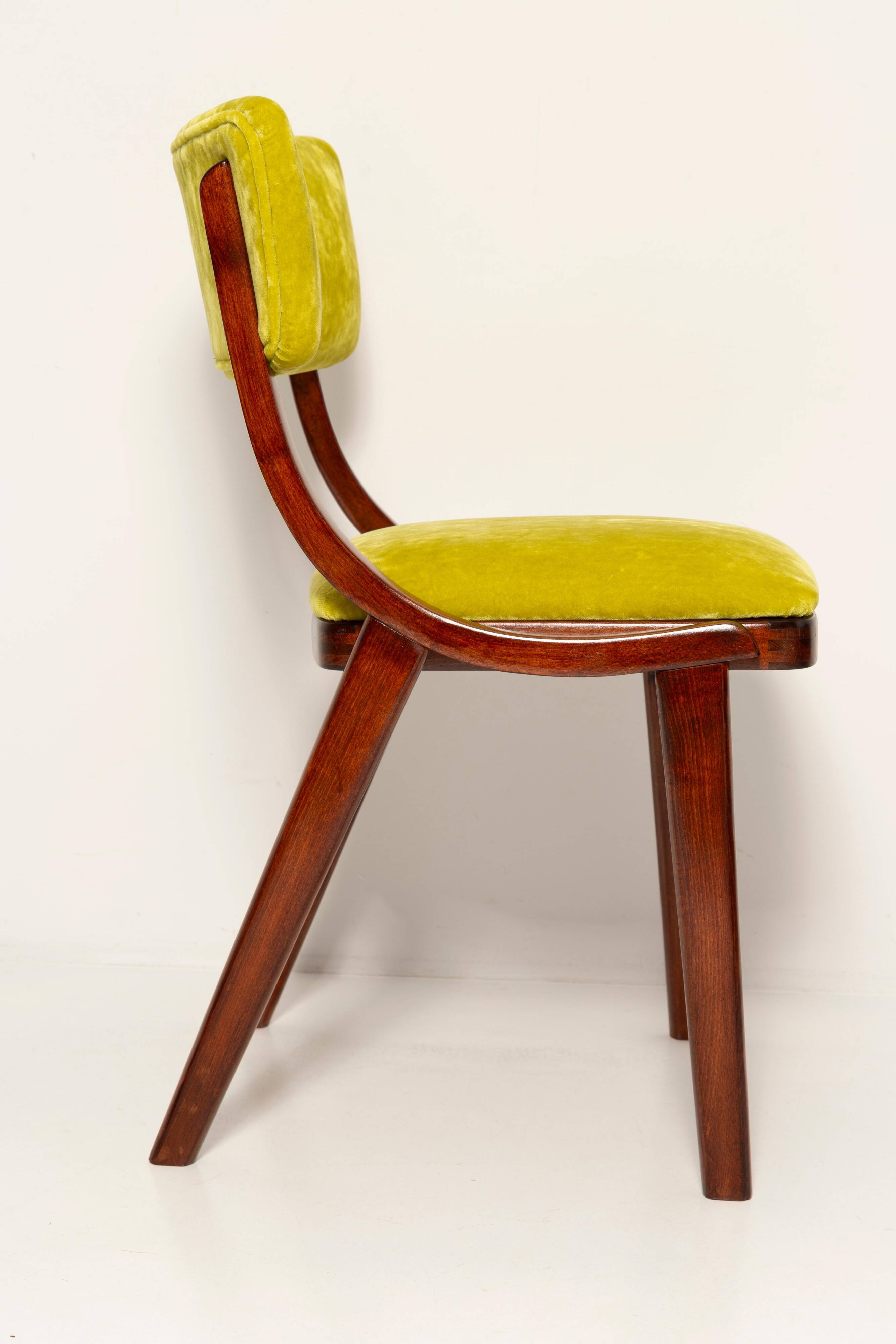 Chaise Mid-Century Moderne, Velours Vert Citron, FR Dedar, Pologne, Années 1960