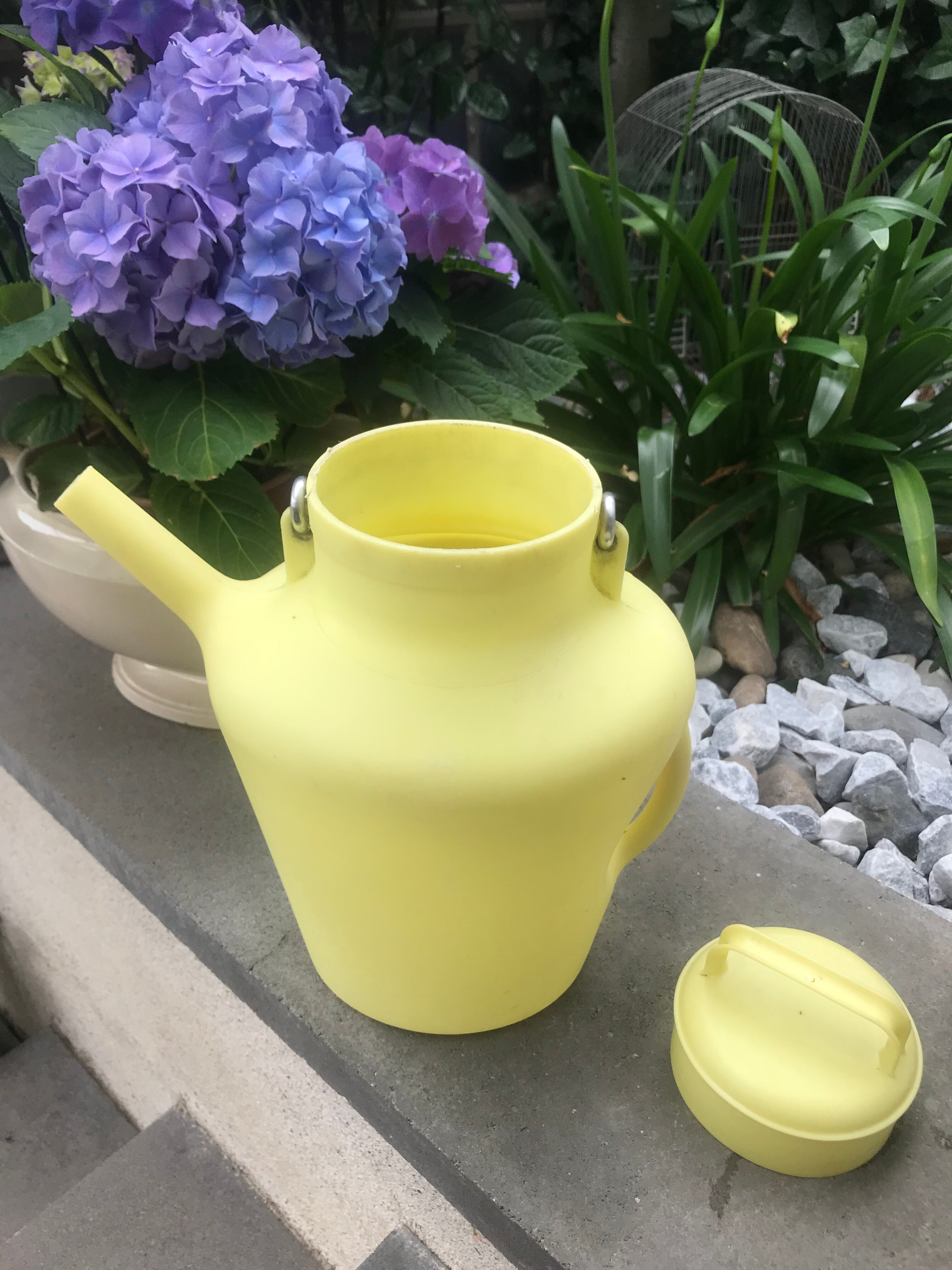 Vintage watering can