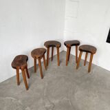 Set of 5 olive tree tripod stools from the 50s