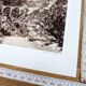 Vecchio Valley, vintage Corsica, photo plate printed in 1935.
