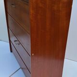 Vintage shoe cabinet