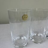 6 engraved glasses