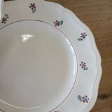 9 assiettes plates anciennes Digoin Sarreguemines
