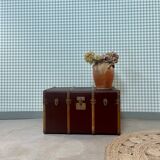 Circled travel trunk