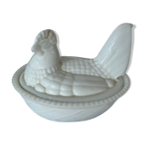 Terrine hen in white ceramic