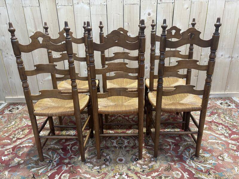 Série de 6 chaises paillées haut dossier