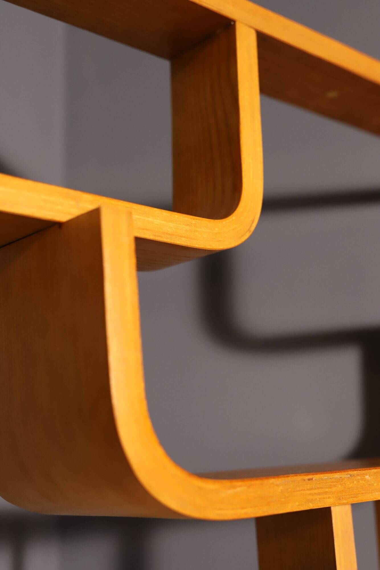 Mid-Century Divider by Ludvik Volak for Drevopodnik Holesov, 1970s