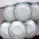 6 deep plates from St Amand and Hamage model Bleriot 2008153