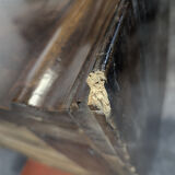 Small Louis Philippe style chest of drawers in mahogany