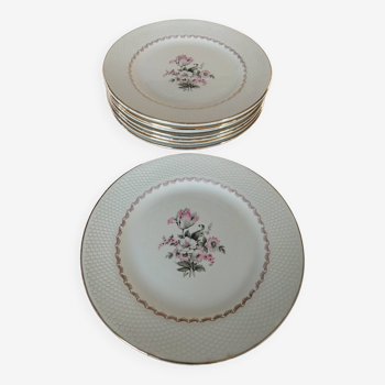 8 assiettes plates en faïence fine L'Amandinoise