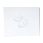 Madeleines, dessin original