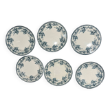 6 plates