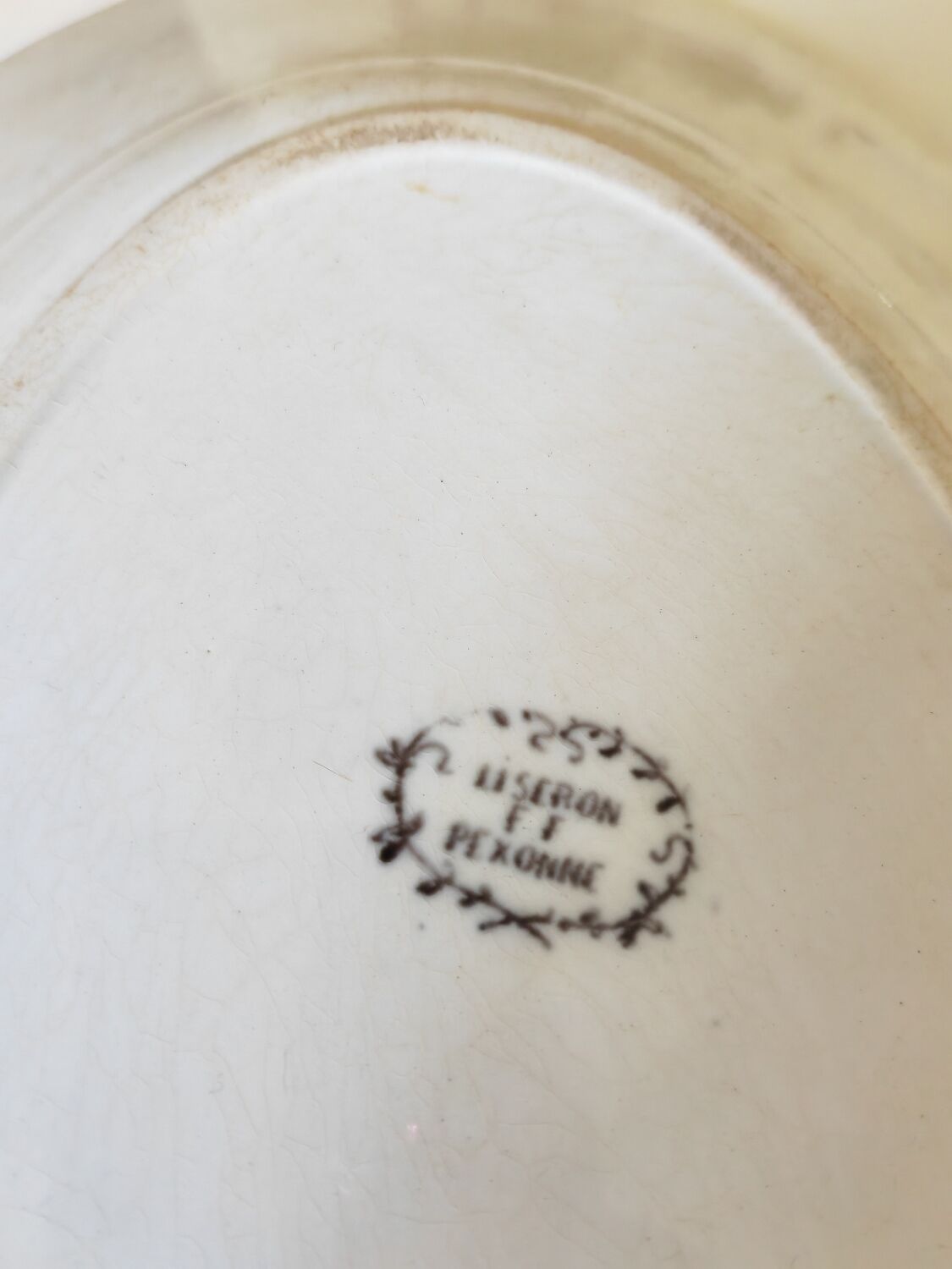 Dish bindweed Pexonne