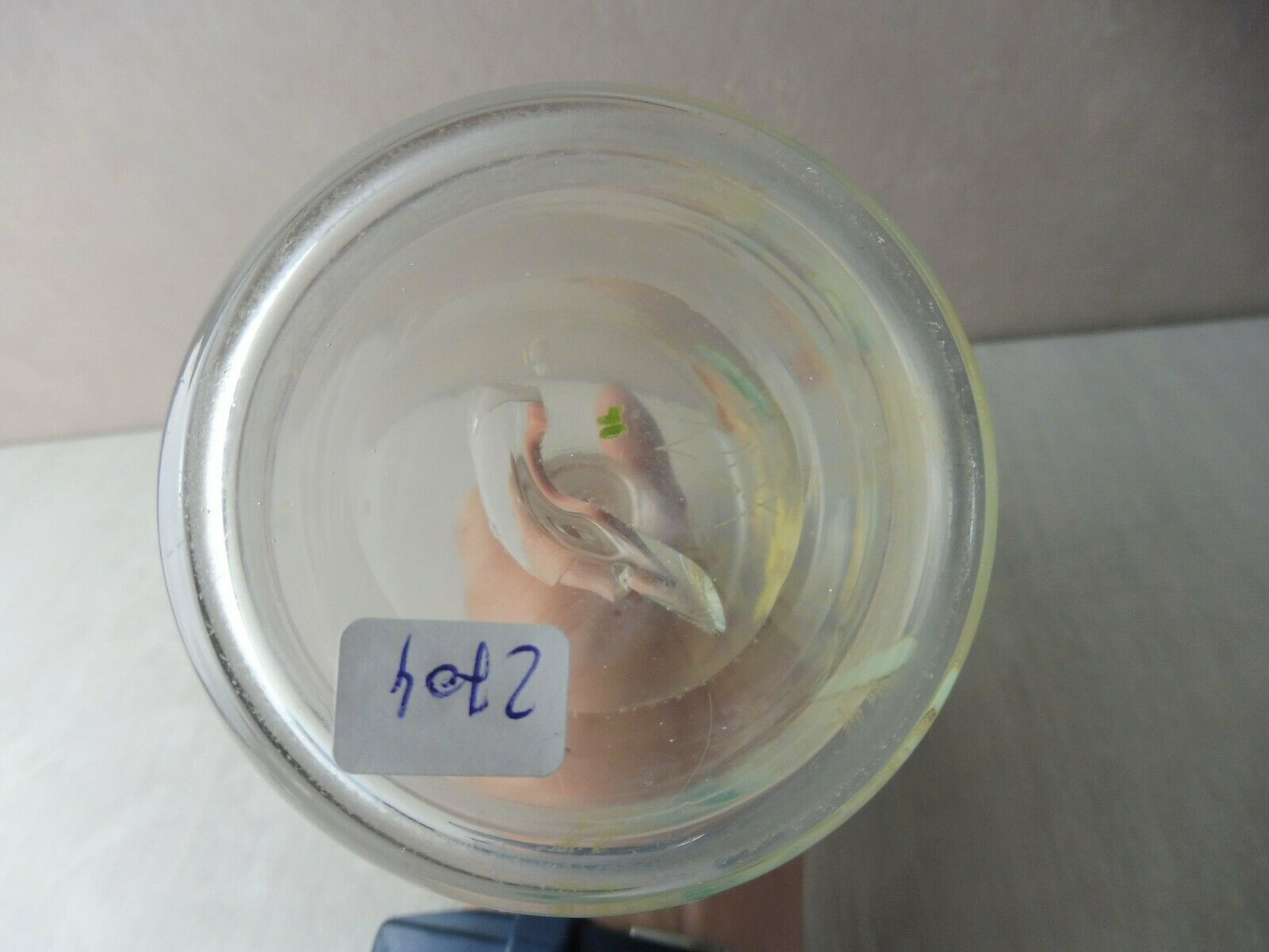 Old enamelled decanter, flower decoration, Legras