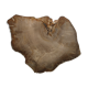 Large empty pocket or flat petrified wood - 30cm
