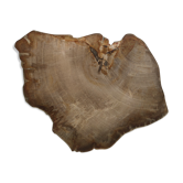 Large empty pocket or flat petrified wood - 30cm