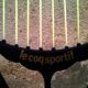 Vintage tennis racket