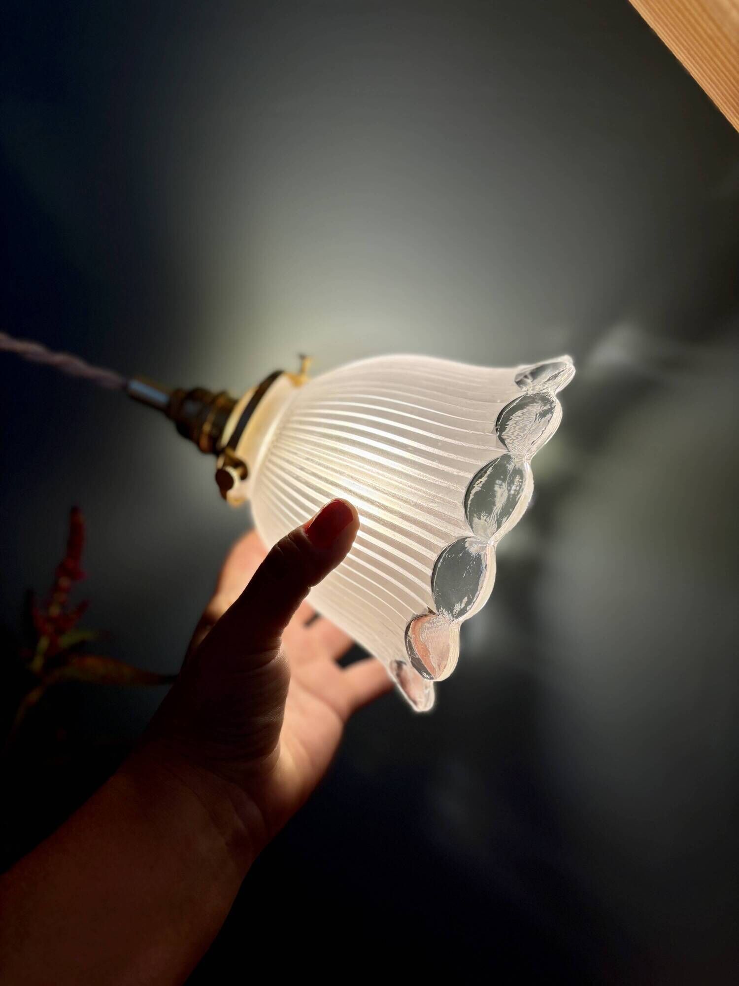 Vintage tulip suspension in frosted glass (TFB1)