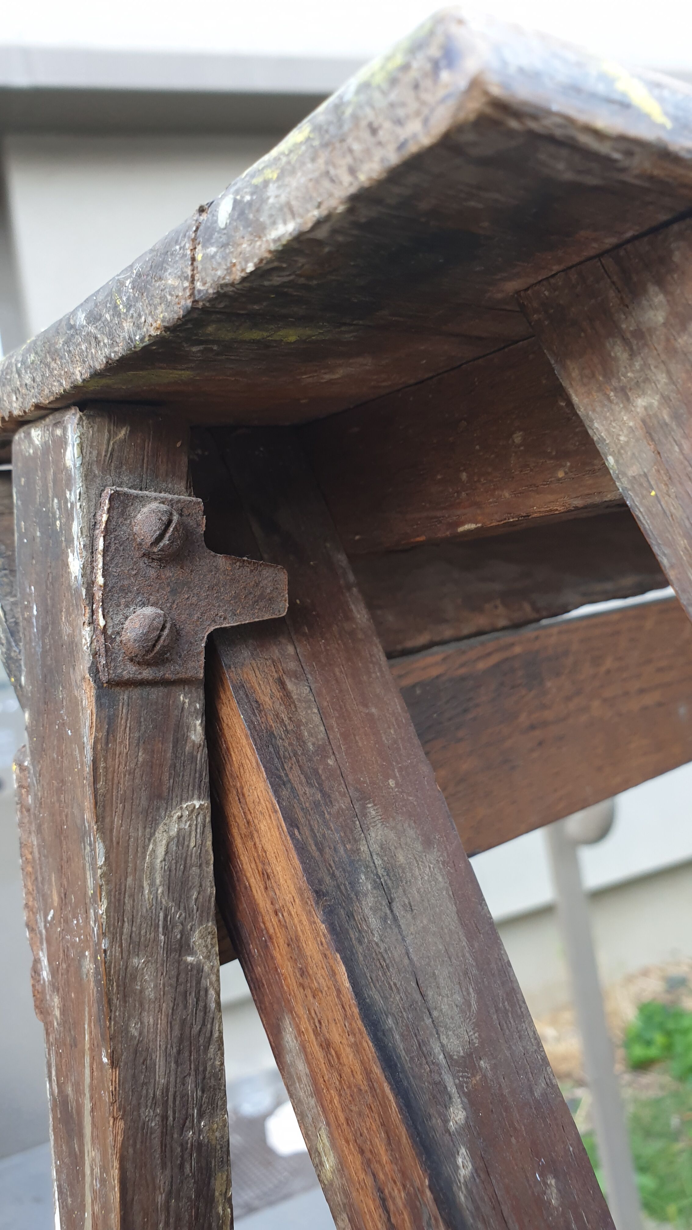 Painter's stepladder in solid beech