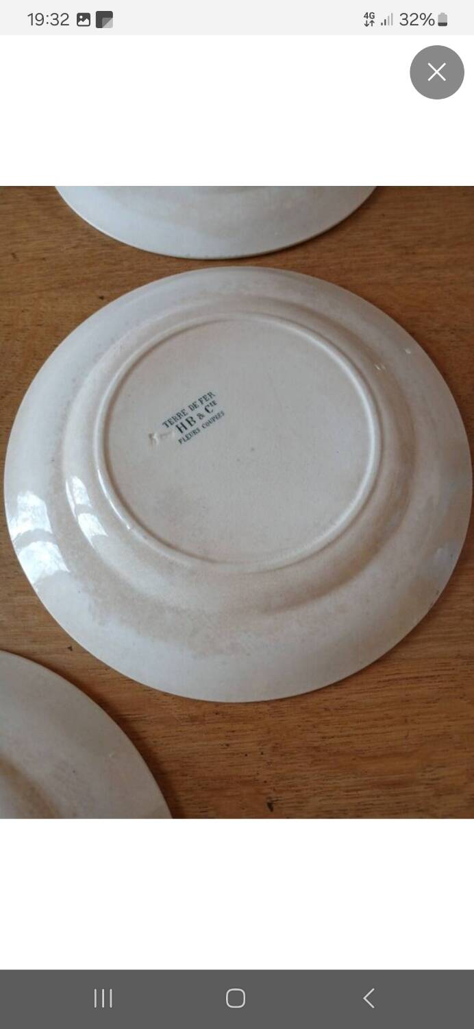 7 old flat plates Terre de fer