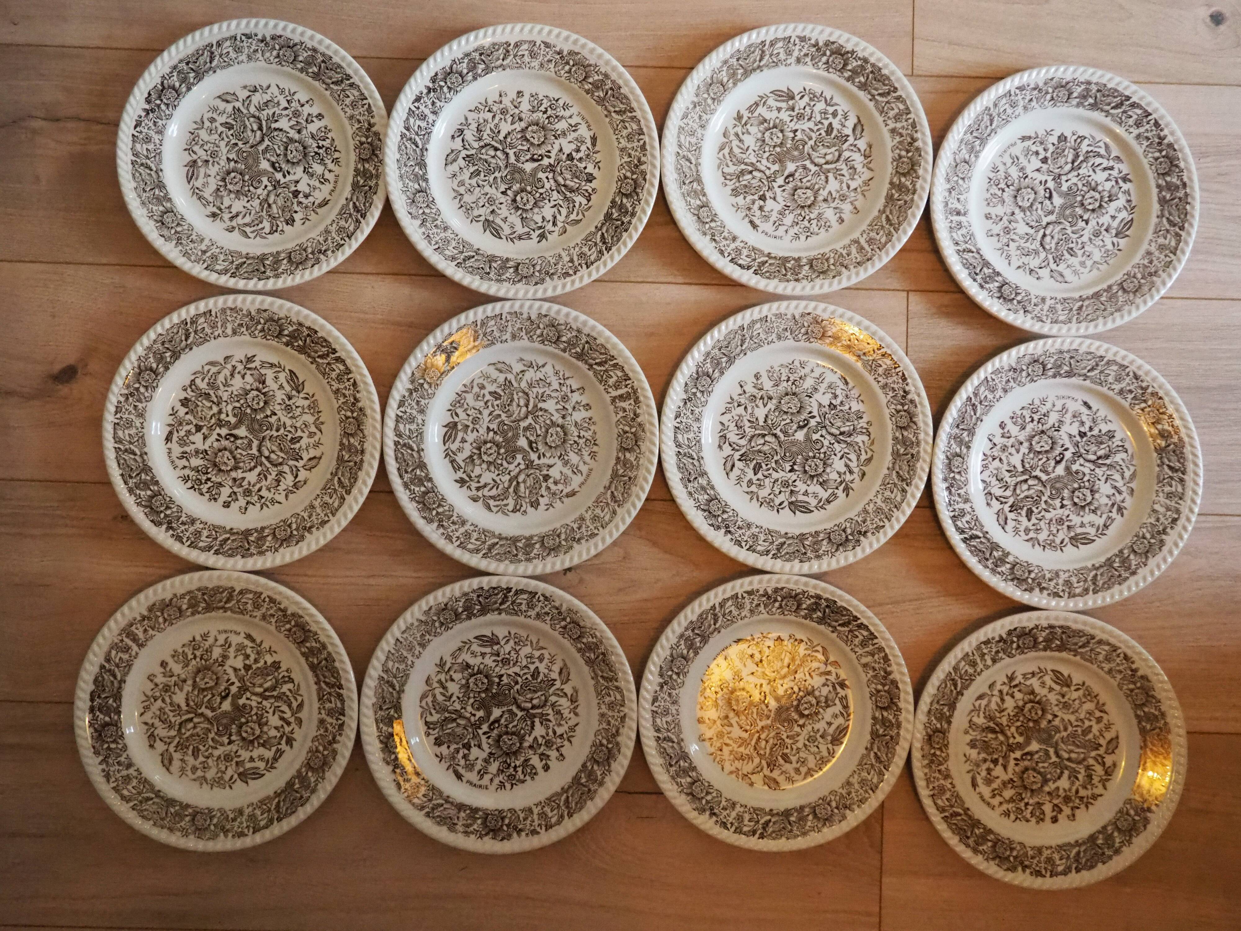 Set of 12 white plates - Brown floral patterns, vintage prairie charm