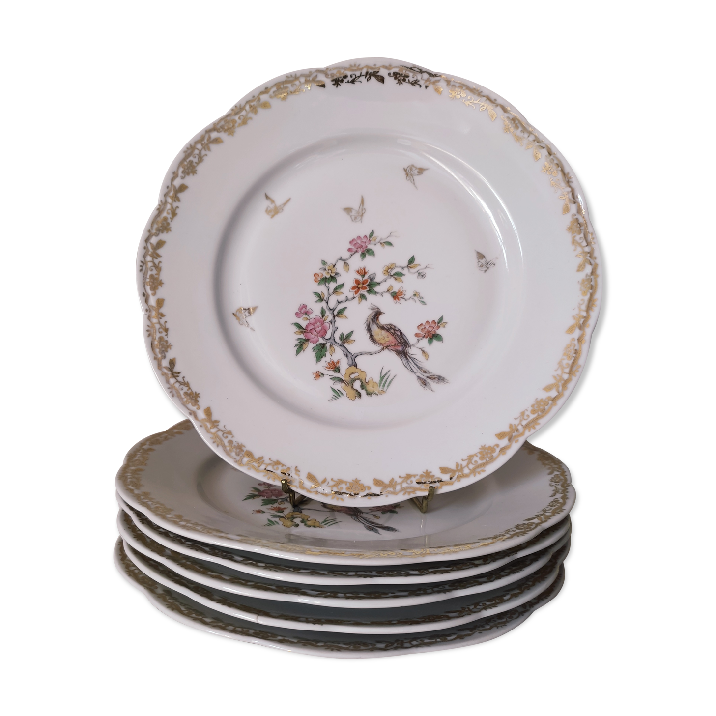6 flat plates model bird of paradise