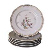 6 flat plates model bird of paradise