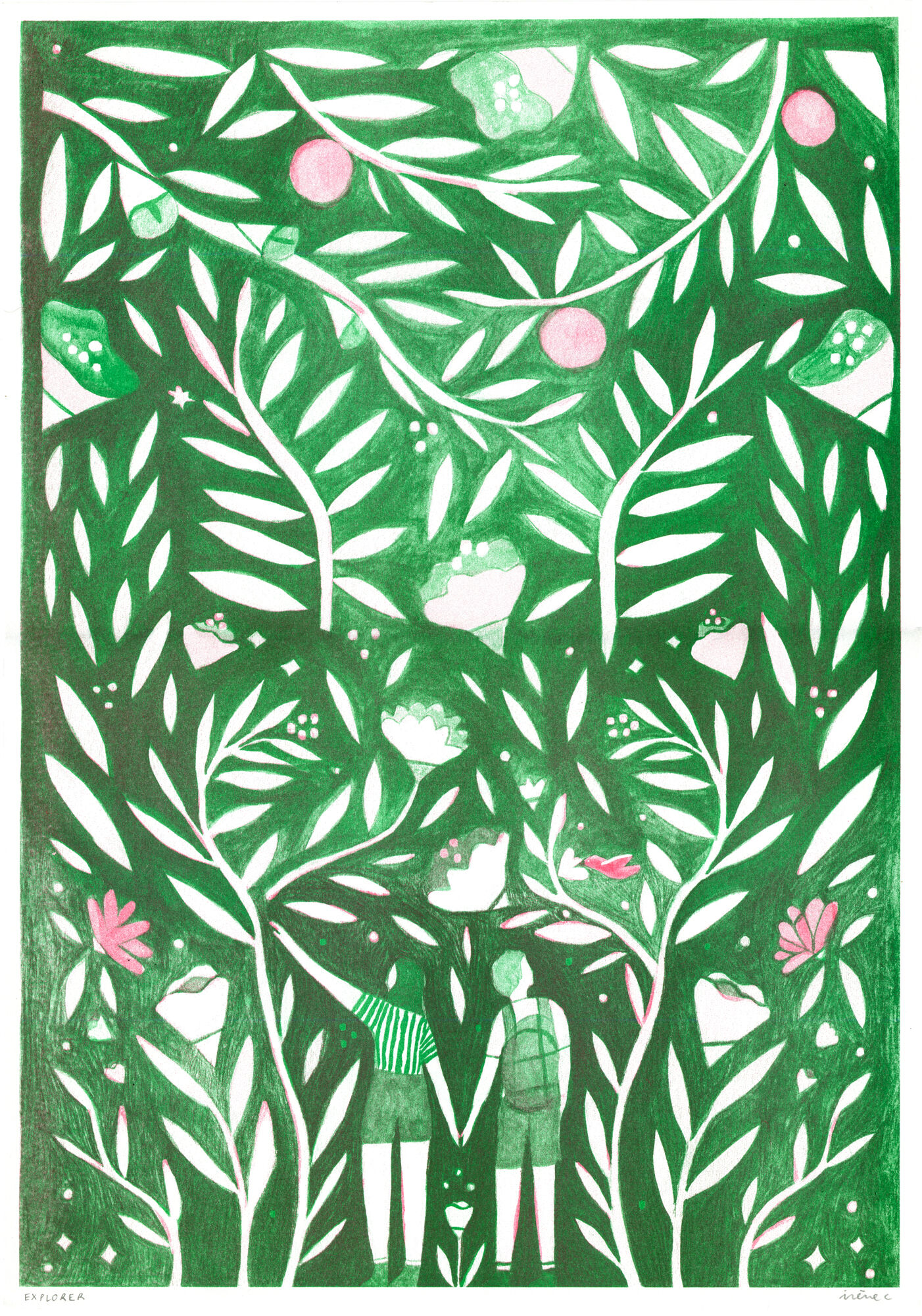 Illustration "explorer"