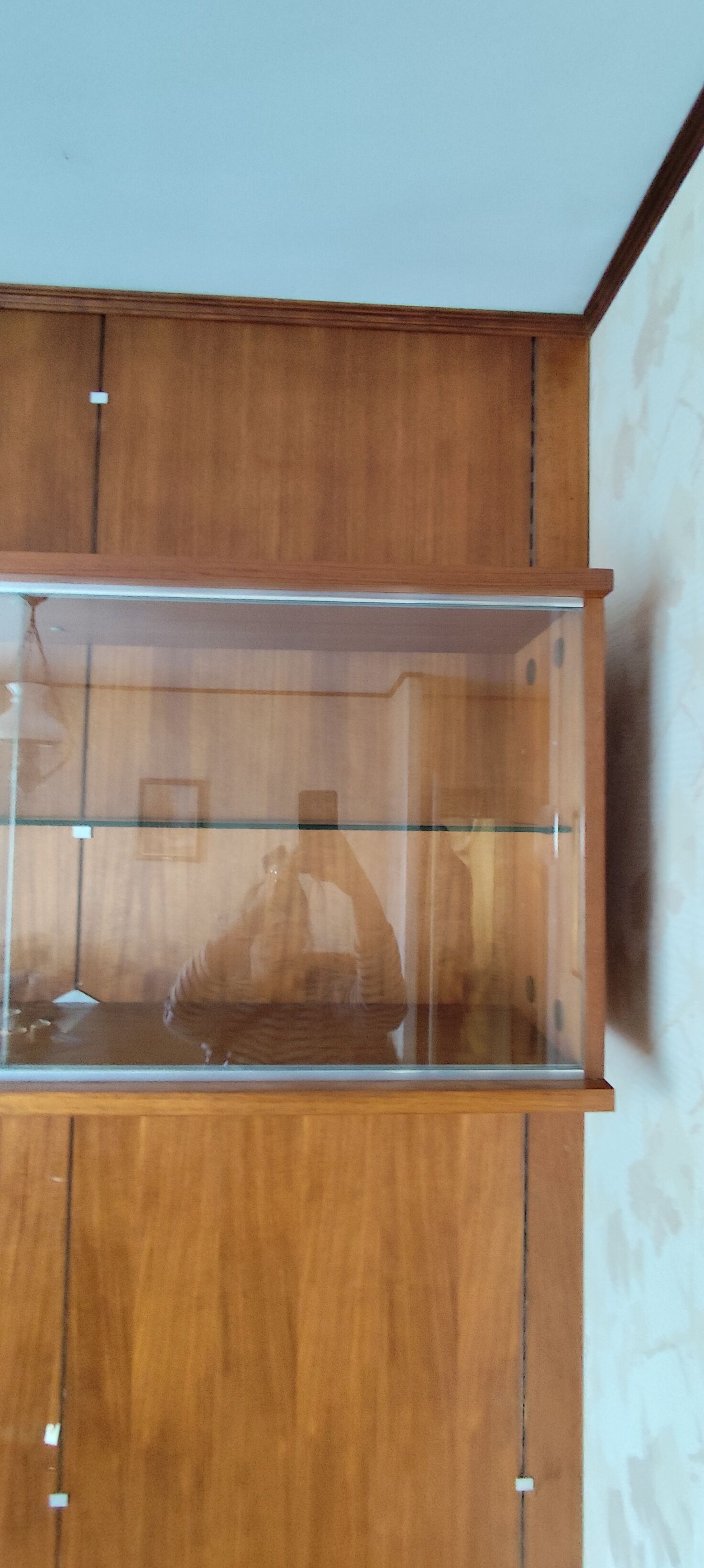 Teak wall shelf library