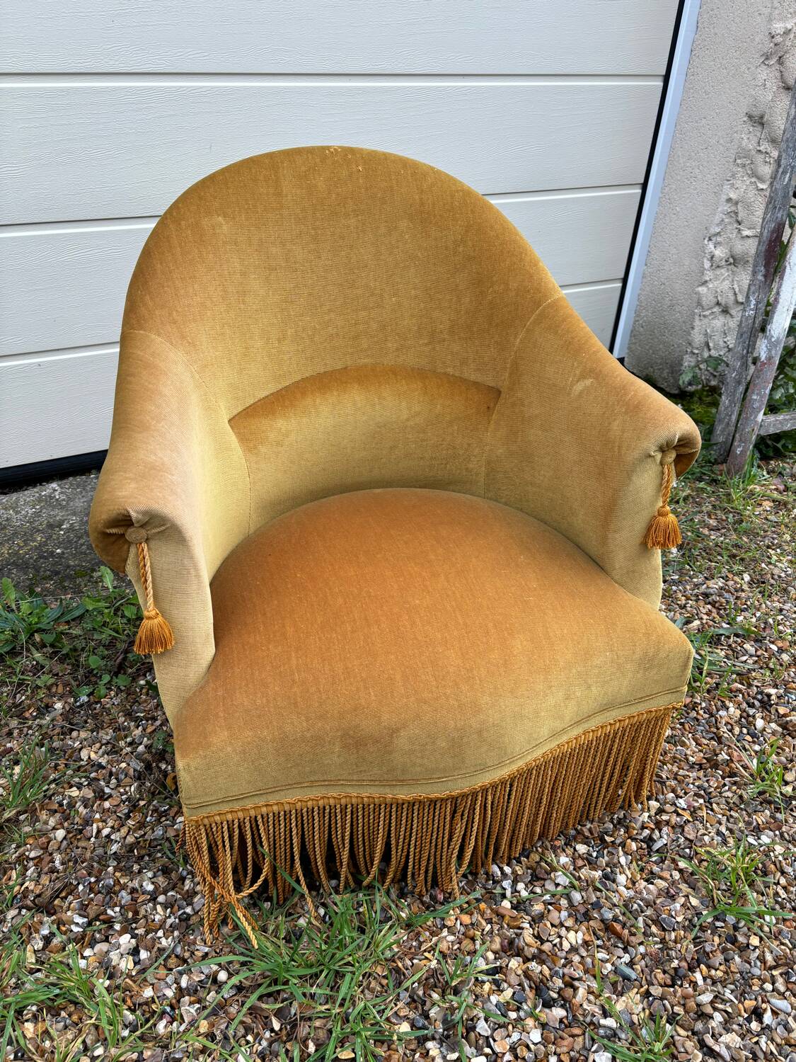 Toad armchair in gold velvet