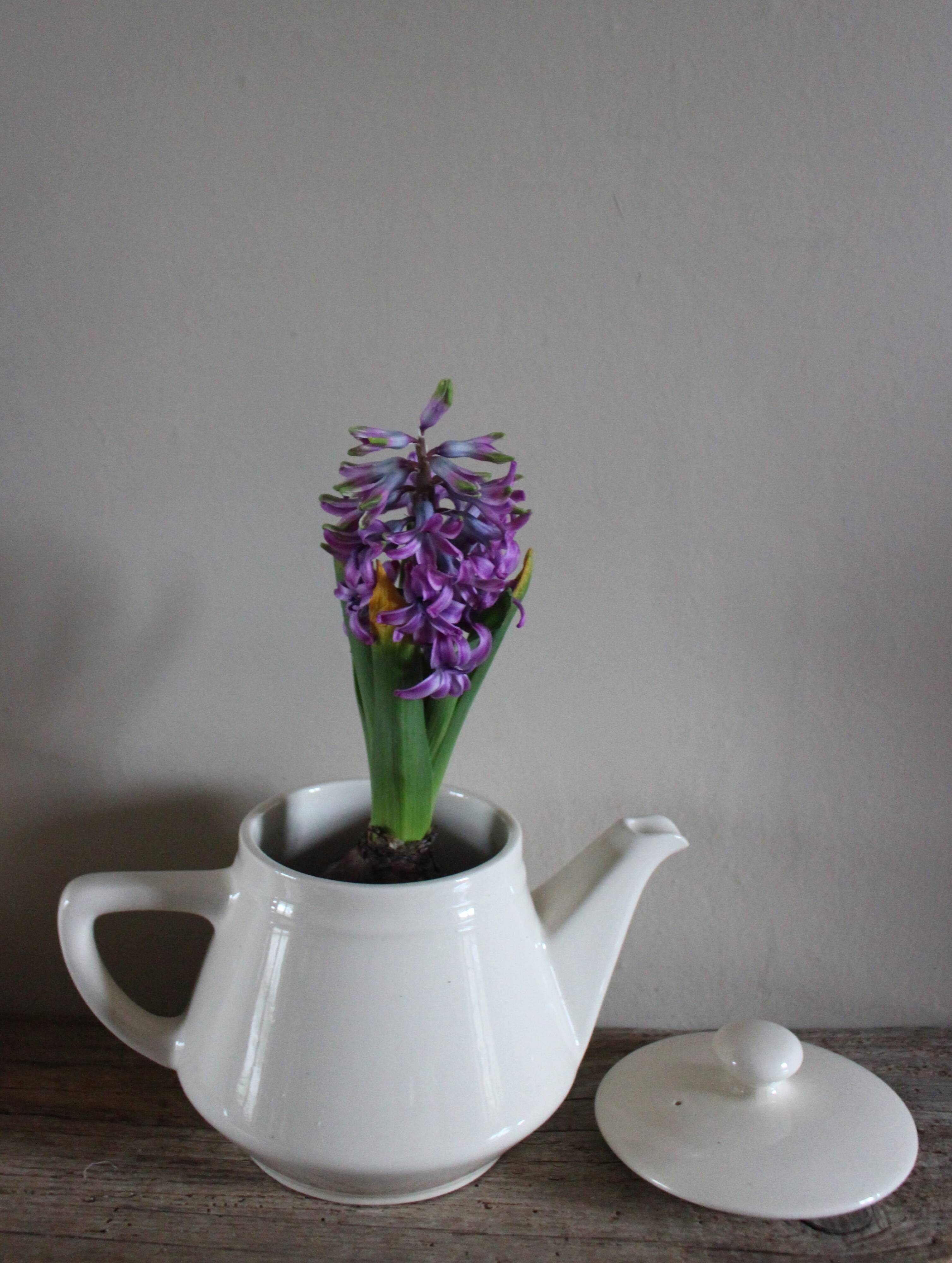 Théière en faïence écru Villeroy & Boch